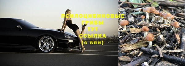 тгк Рославль