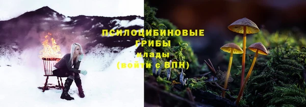 тгк Рославль