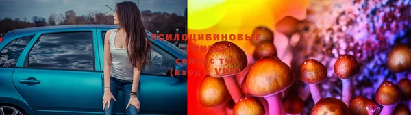 соль ск Протвино