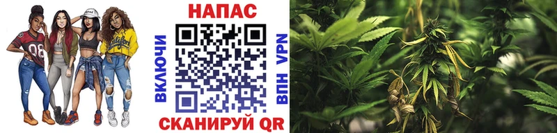 купить закладку  МЕГА tor  Каннабис SATIVA & INDICA  Семикаракорск 